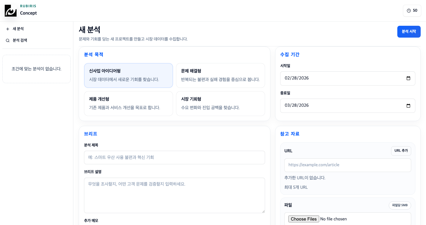 RUBIRIS Concept 새 분석 화면 실제 스크린샷